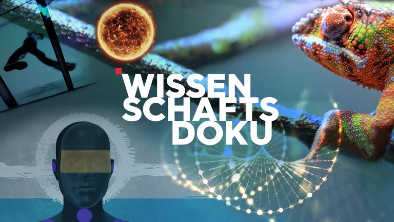3satWissenschaftsdoku