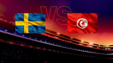 Vorrunde: Gruppe F Schweden - Tunesien
