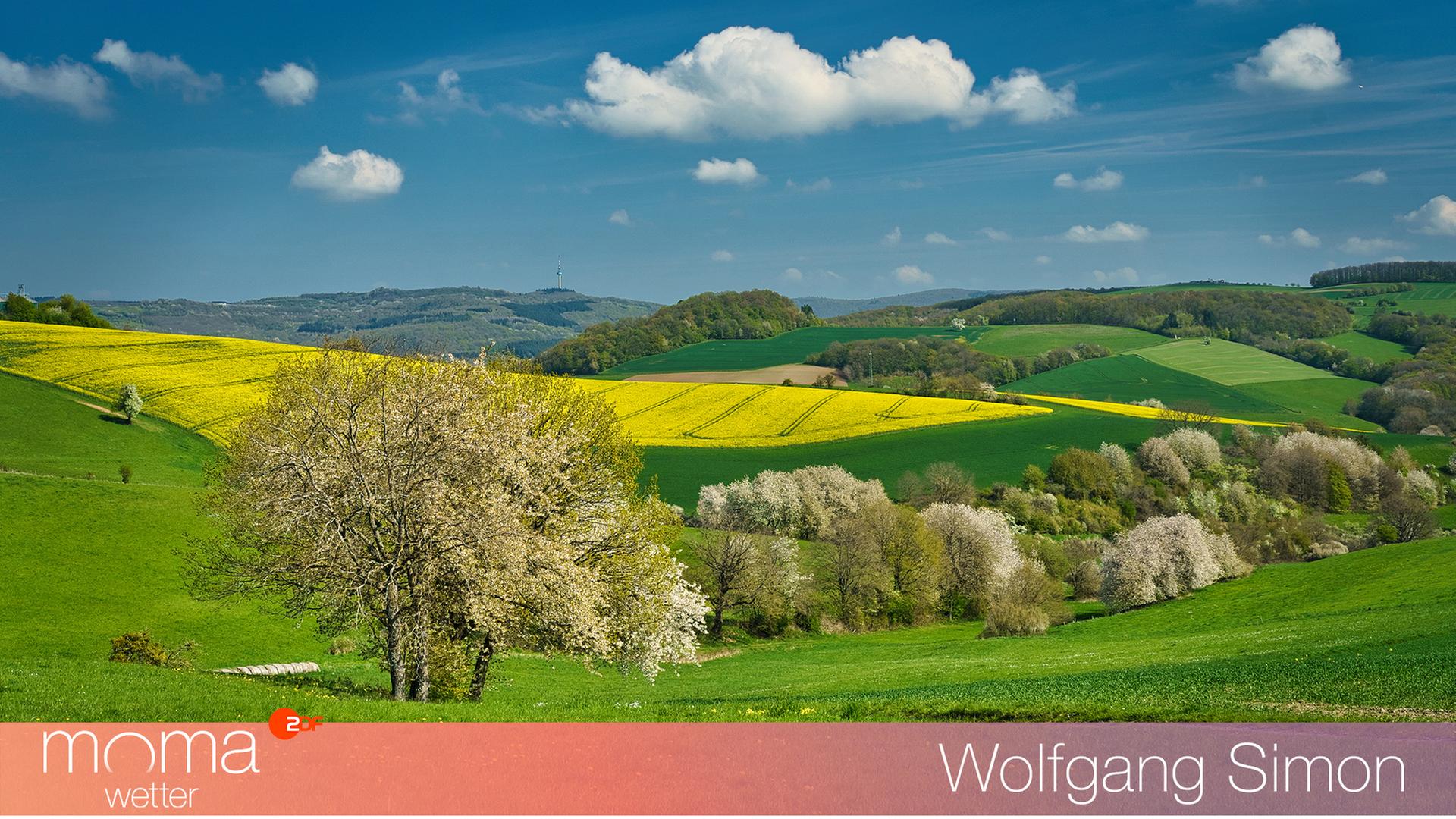 Gewinnerfoto vom 17. April 2026