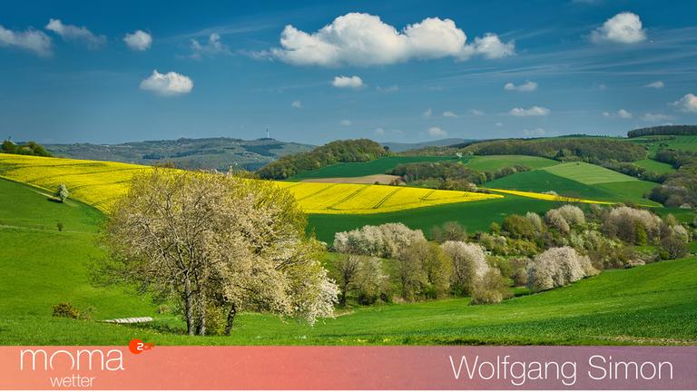 Gewinnerfoto vom 17. April 2026