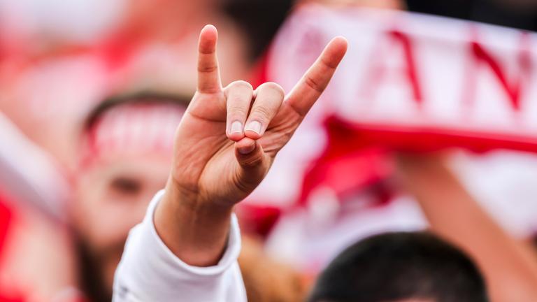 Ein türkischer Fan zeigt den "Wolfsgruß", dessen Ursprung einer rechtsextremistischen Bewegung zugeordnet wird.