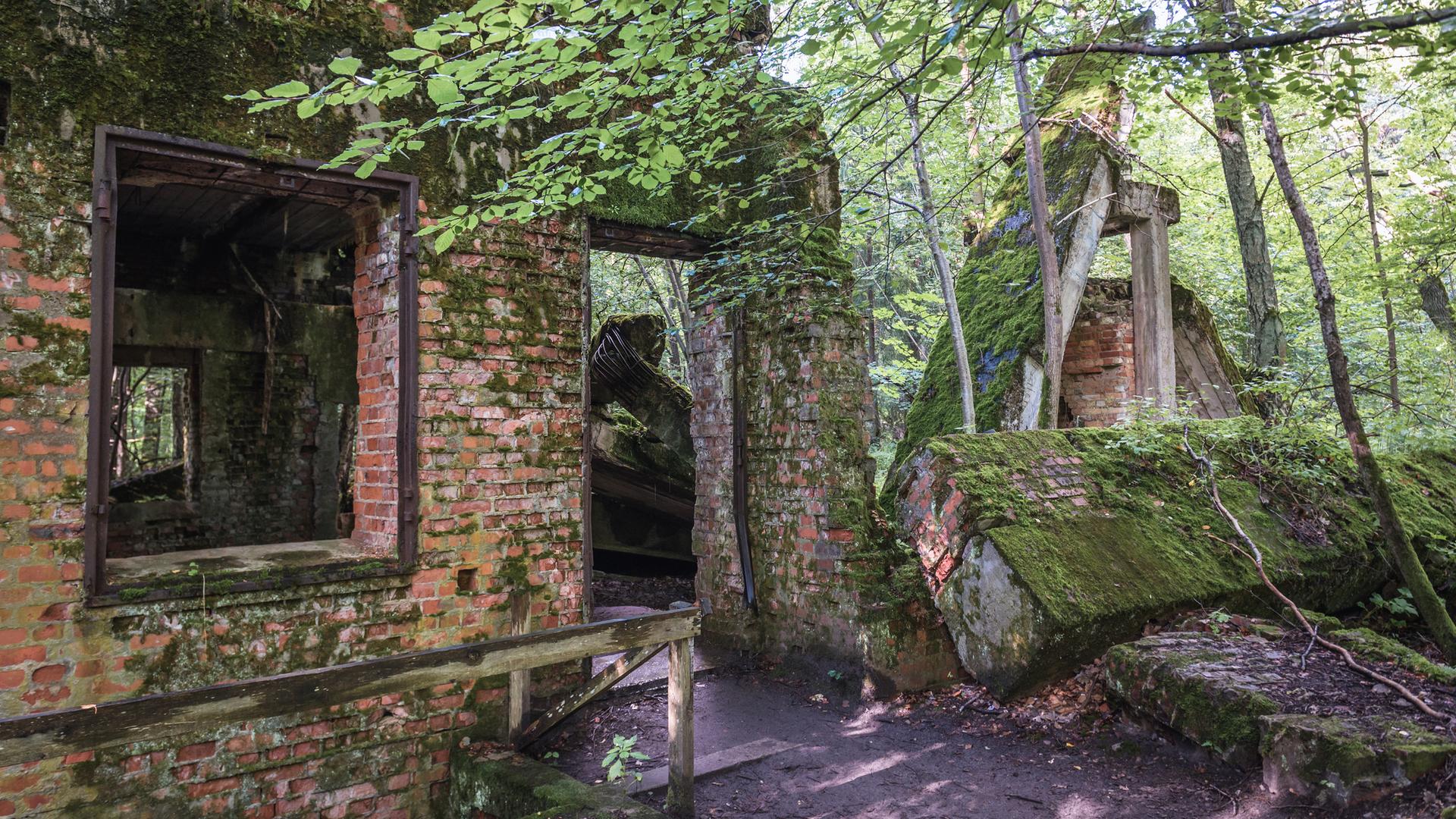 Ruine des Hauses von Hermann Göring auf dem Geländer der Wolfsschanze