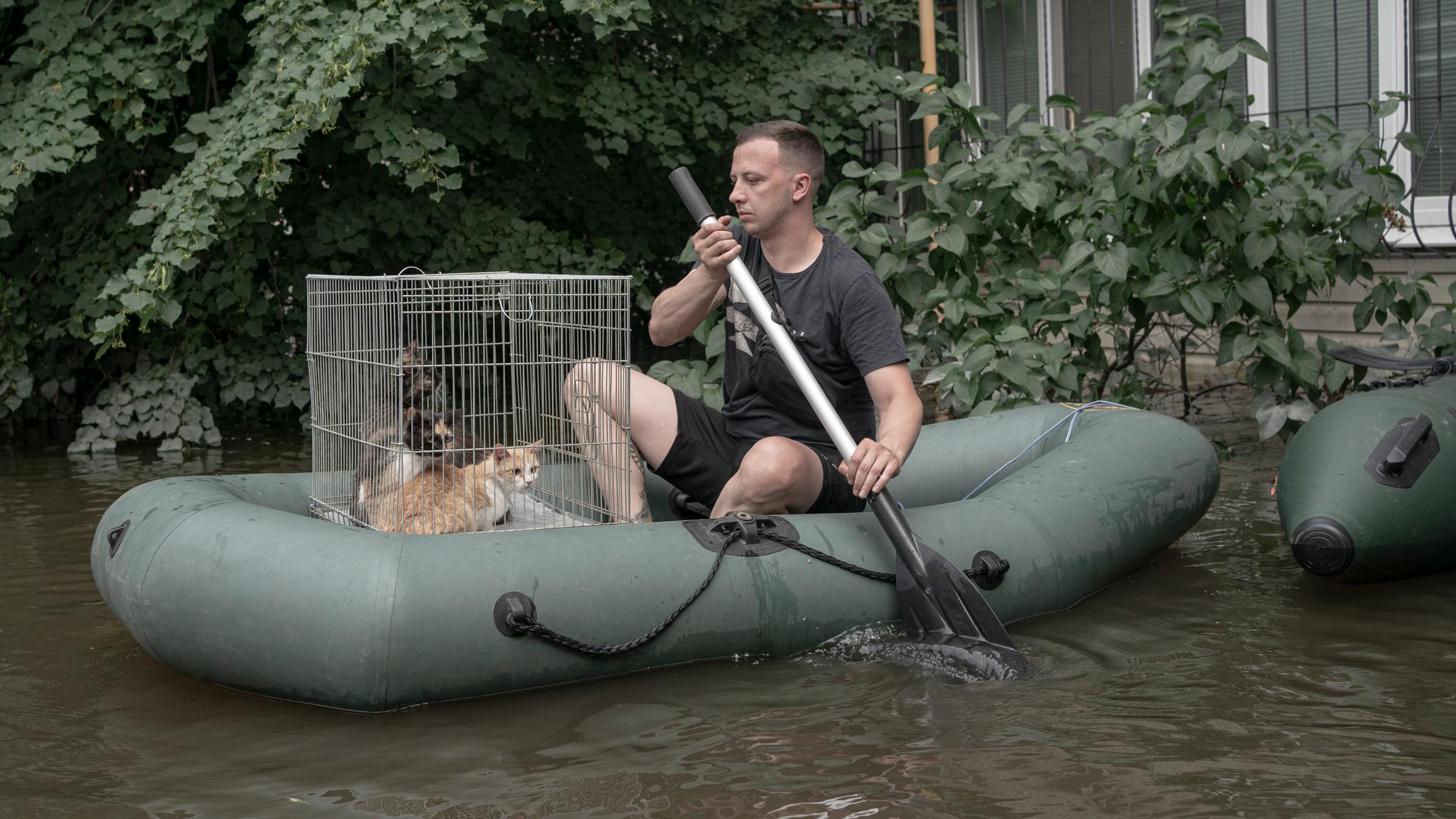Ein Mann auf einem Schlauchboot mit Katzen in einem überfluteten Gebiet in der . (9. Juni 2023) 