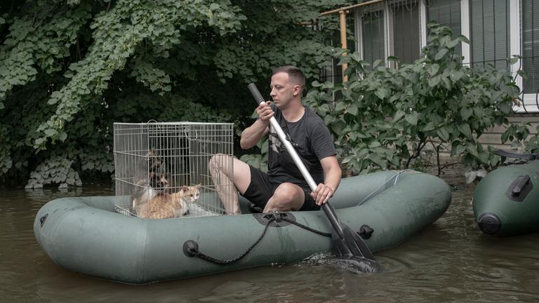 Ein Mann auf einem Schlauchboot mit Katzen in einem überfluteten Gebiet in der . (9. Juni 2023) 