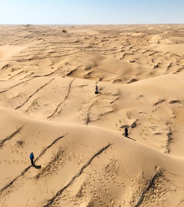 Arbeiter errichten Sandbarrieren in der Kubuqi-Wüste in der Verwaltunseinheit Hangjin-Banner von Ordos in der nordchinesischen Autonomen Region Innere Mongolei (Luftaufnahme mit Drohne). 