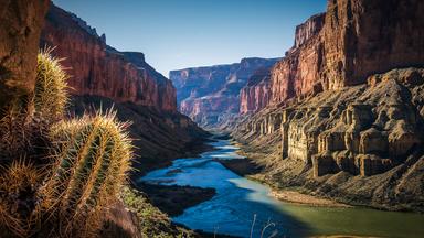 Eine Aufnahme des Grand Canyon; im Vordergrund ein Kaktus.