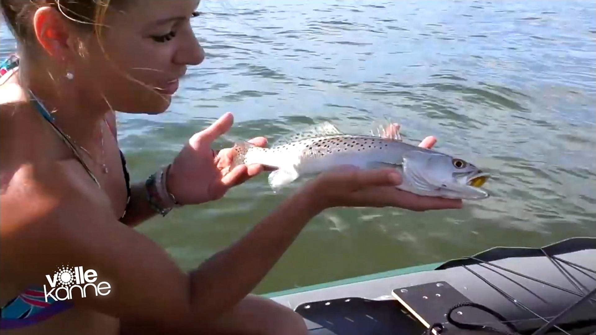 Wundersame Angler, Teil 4