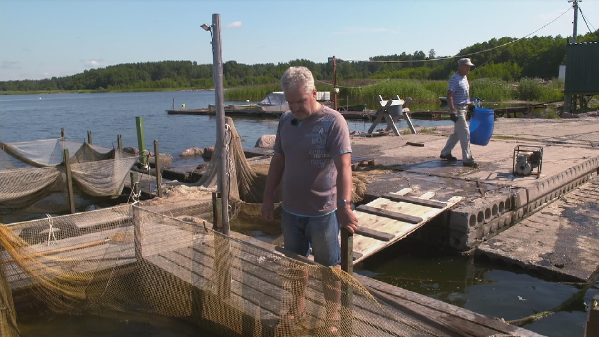 Wyborg: Fischerei an der Ostsee 