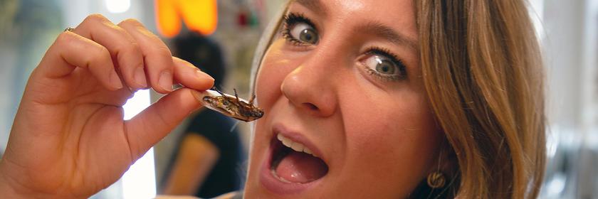 Terra Xplore mit Jasmina Neudecker - Insekten essen