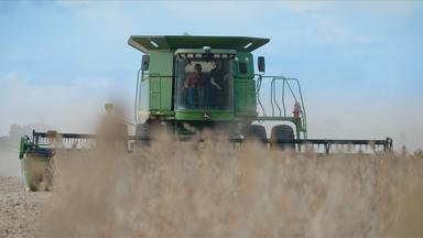 Landwirtschaft USA