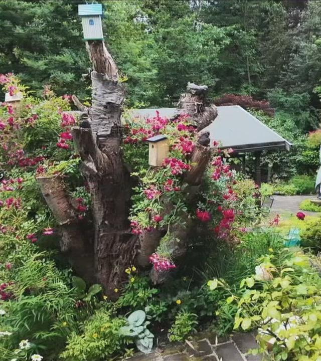 Das Bild zeigt einen idyllischen Wildgarten mit Vogelhäusern und einer Gartenhütte in der Mitte.