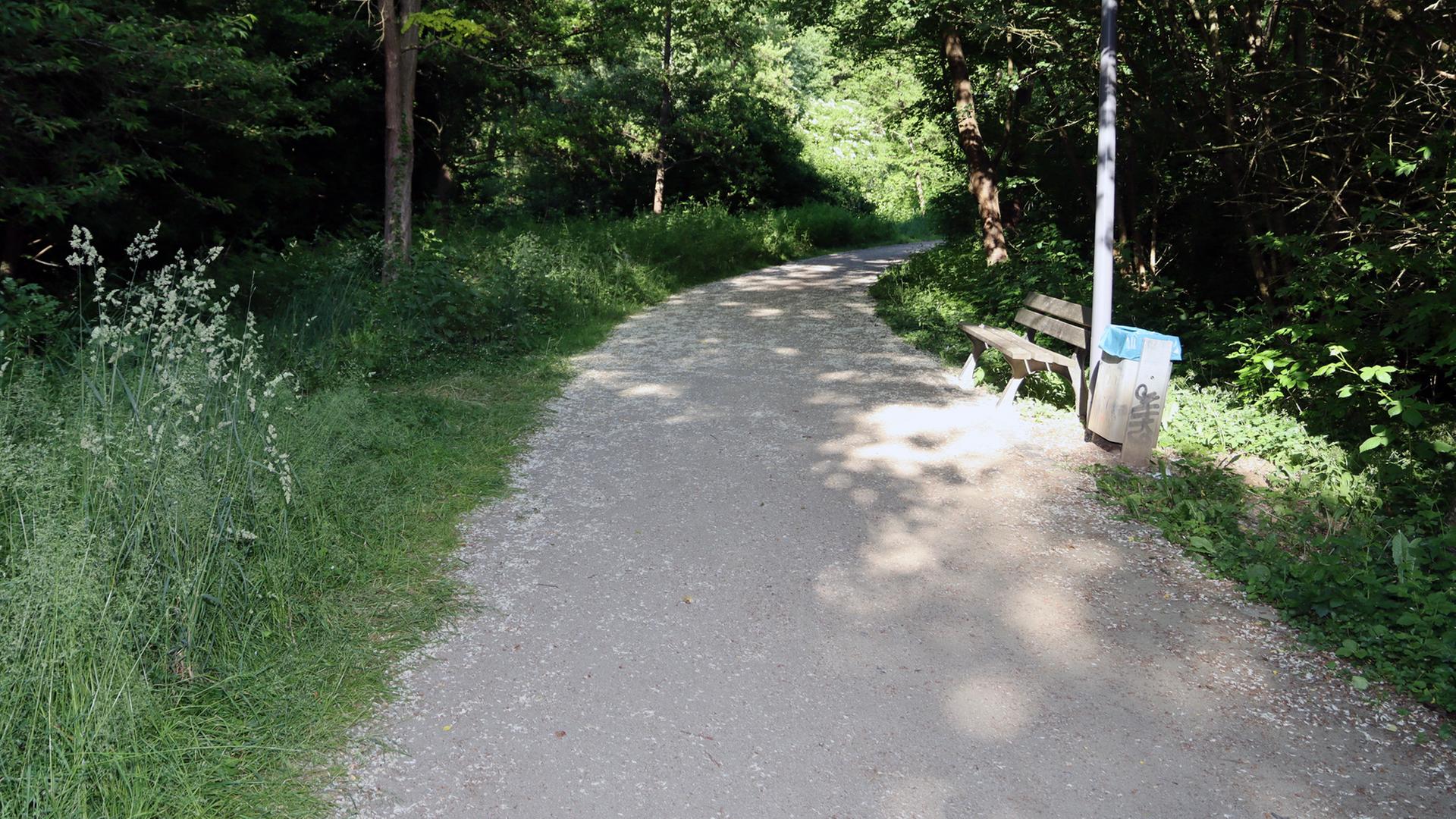 Der Tatort: Das Erlenwäldchen in Erlensee in Hessen. 
