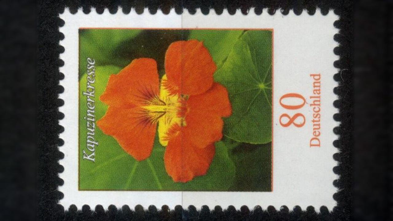 Eine 80-Cent-Briefmarke, auf der die Blüte einer Kapuzinerkresse abgebildet ist
