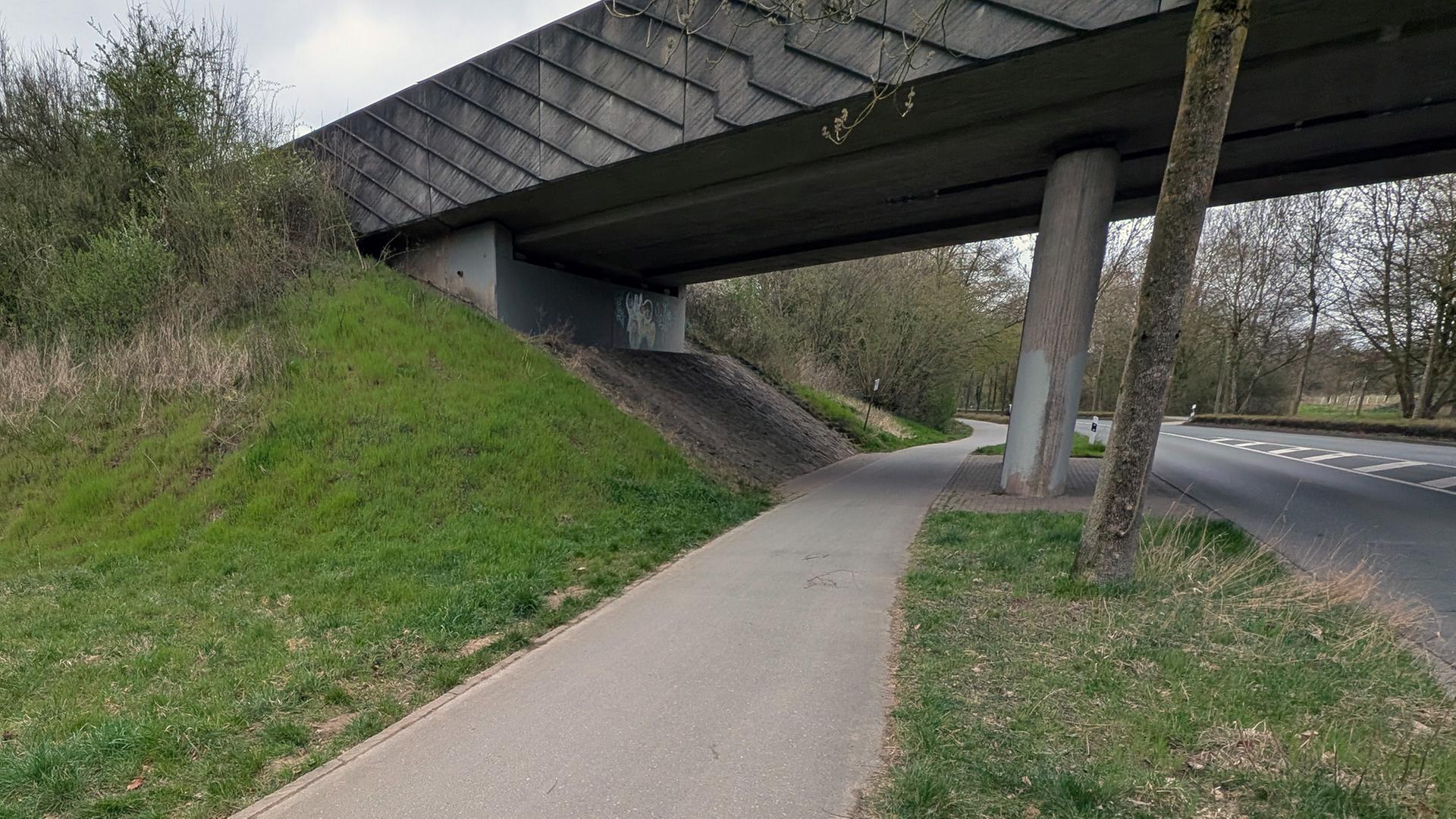 Foto vom Tatort in Bocholt: Ein asphaltierter Weg in einer Grünanlage führt unter eine Brücke.