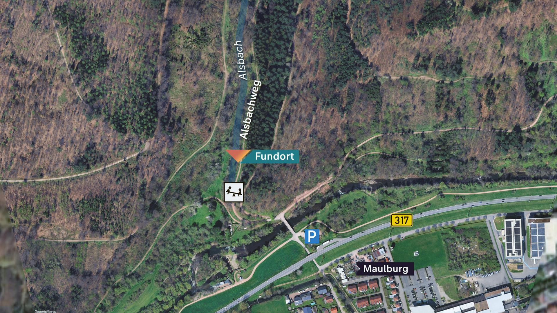 Kartenübersicht des Fundorts der Babyleiche nahe des Waldspielplatzes am Alsbachweg bei Maulburg