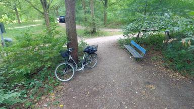 Die Parkbank, an der Waldemar S. angegriffen wurde. 