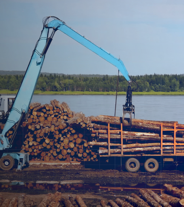 Holz wird per Kran auf Holztransporter verladen