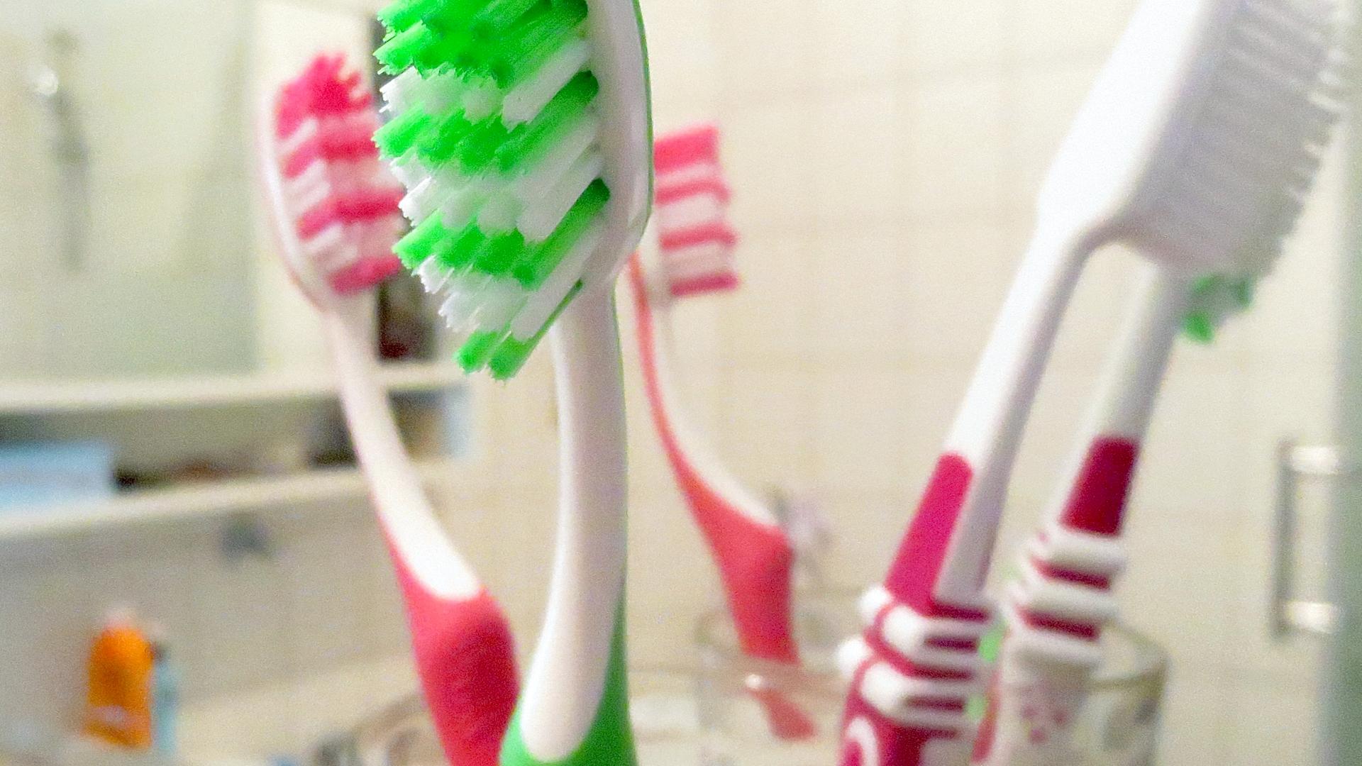 Archiv: Das Bild zeigt mehrere Zahnbürsten, aufgenommen am 16.11.2017 in München 