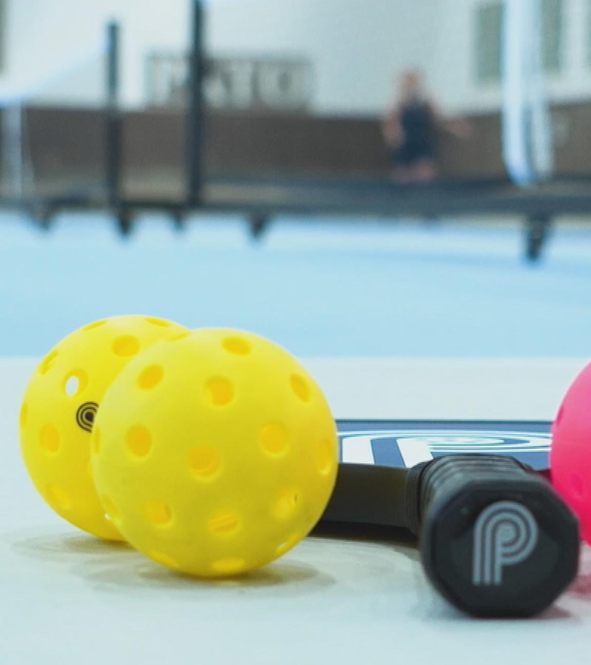 ZDF Pickle Ball