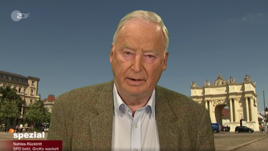 Alexander Gauland, AfD-Fraktionsvorsitzender