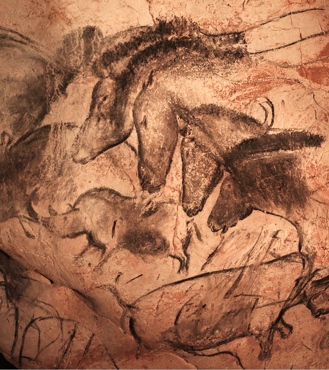 Zeichnungen von Pferden und büffelähnlichen Tieren in schwarz befinden sich auf einer unebenen Felswand.