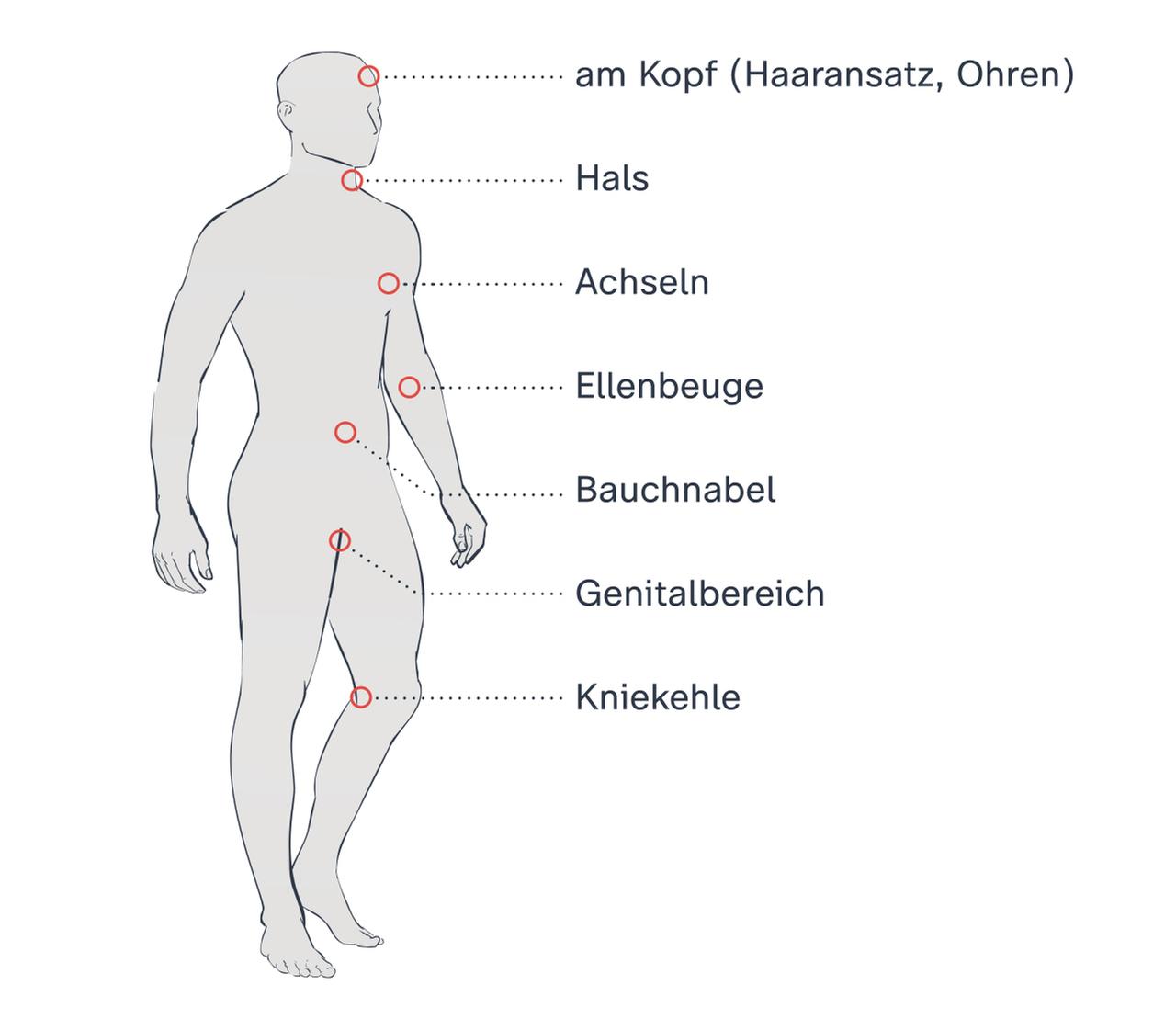 Grafik: An diesen Körperstellen stechen Zecken zu