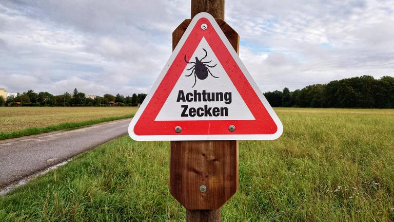 Zecken-Warnschild auf einer Wiese
