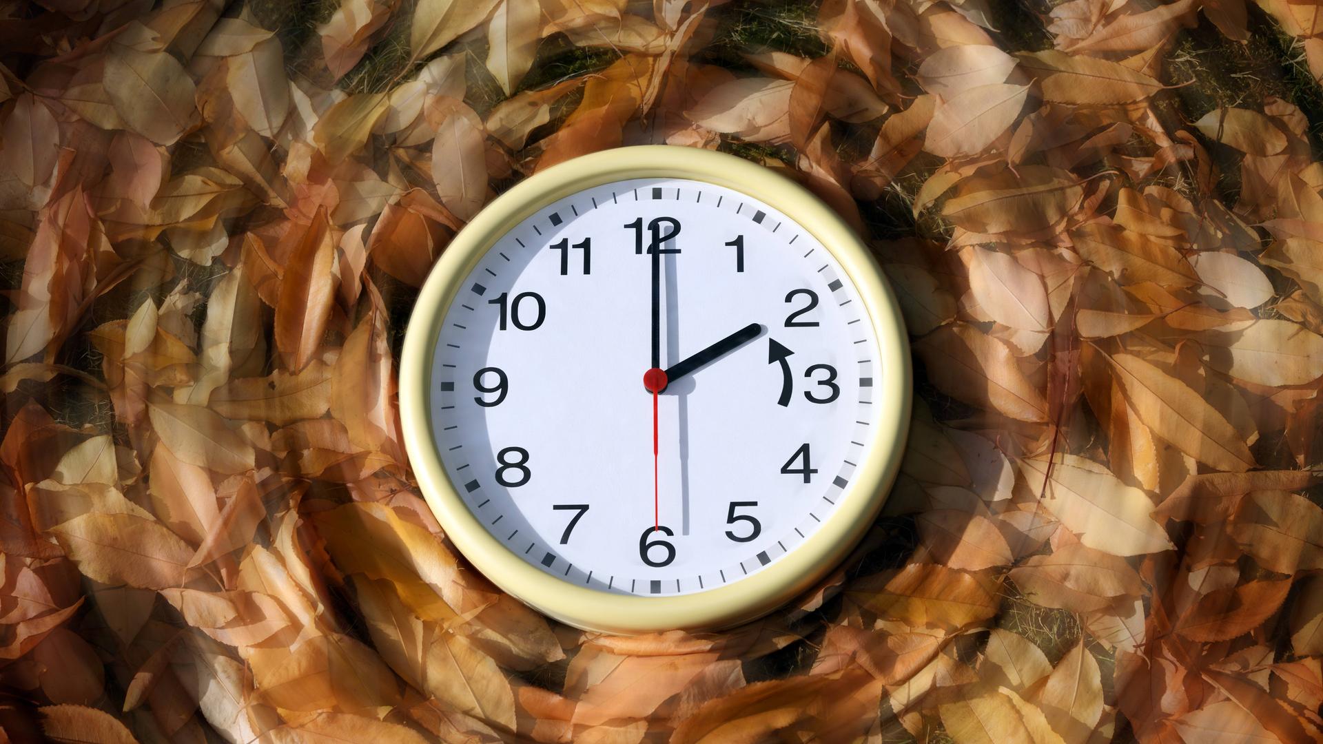 Eine Uhr liegt im Herbstlaub.