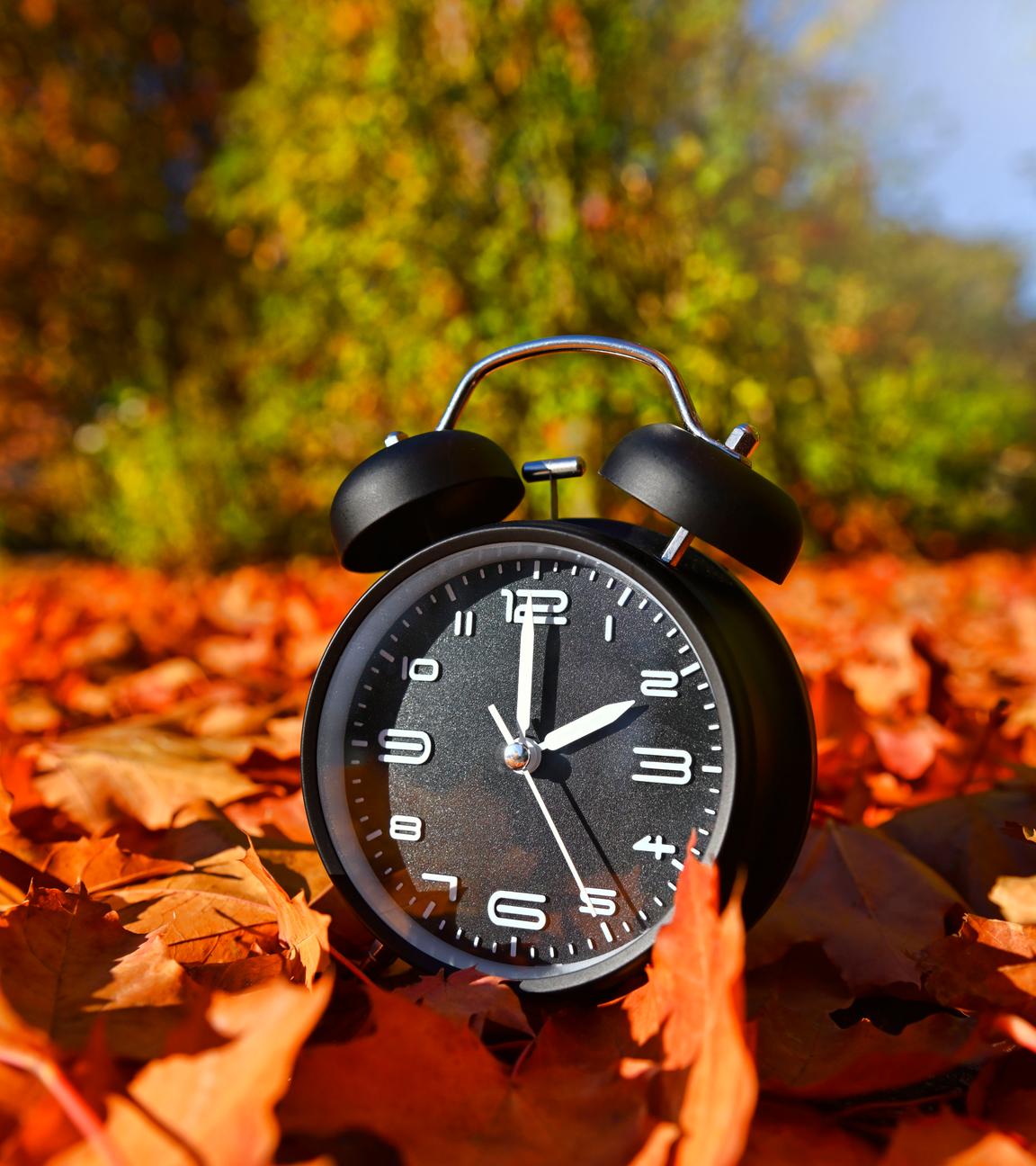 Wecker zwischen Herbstblättern, Wecker zeigt 2 Uhr an.