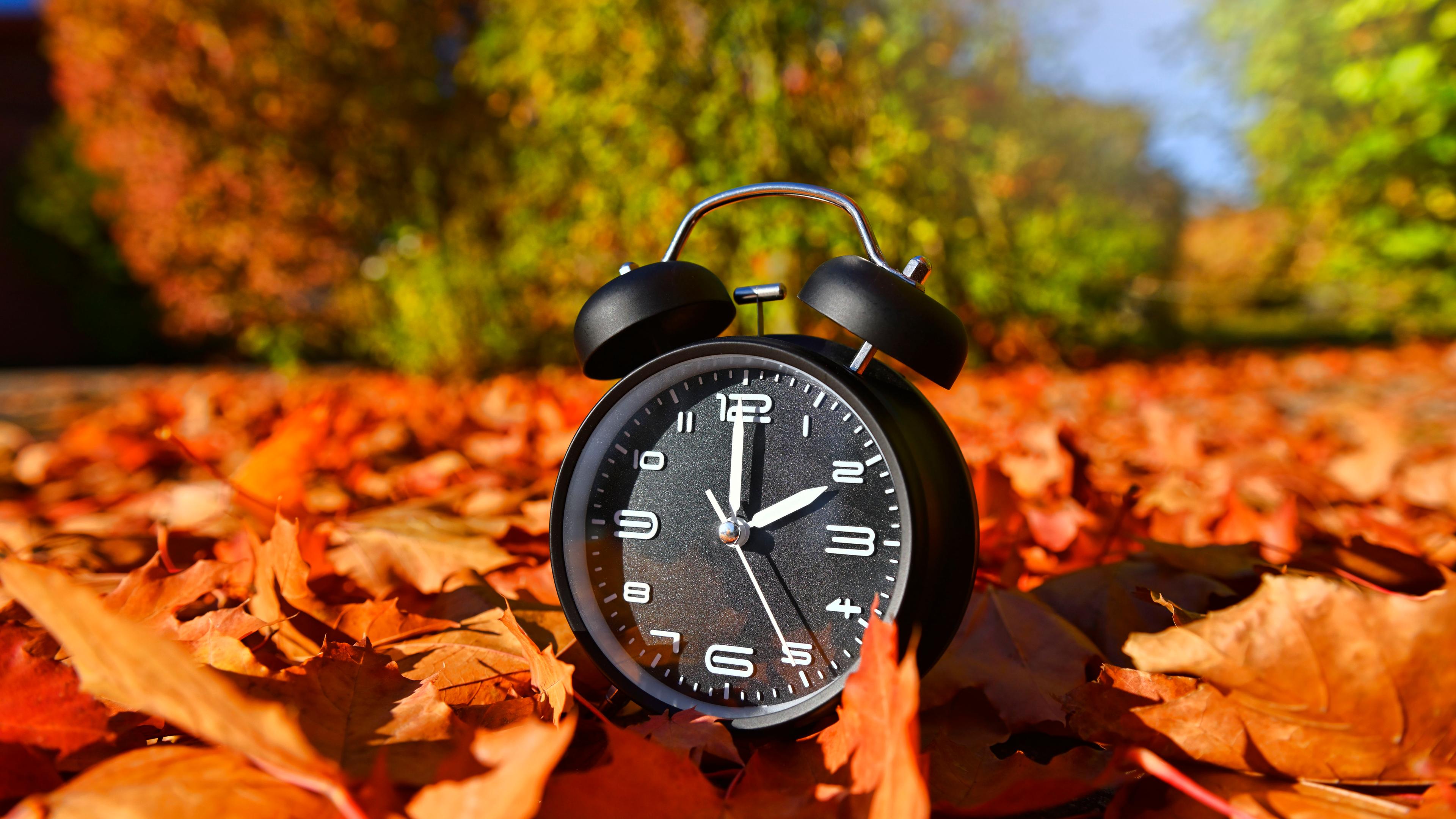 Wecker zwischen Herbstblättern, Wecker zeigt 2 Uhr an.