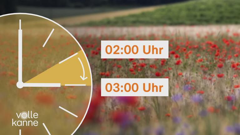 Uhr, die für die Sommerzeit von 2 Uhr auf 3 Uhr vorgestellt wird. Im Hintergrund eine Wiese mit Mohnblumen.
