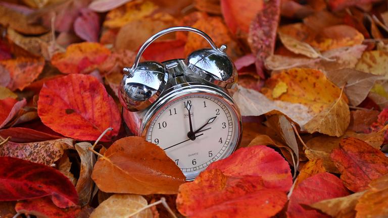 Ein Wecker, der zwei Uhr zeigt, liegt m Laub.