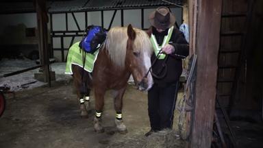 Hier kommt die Zeitung auf dem Pferd