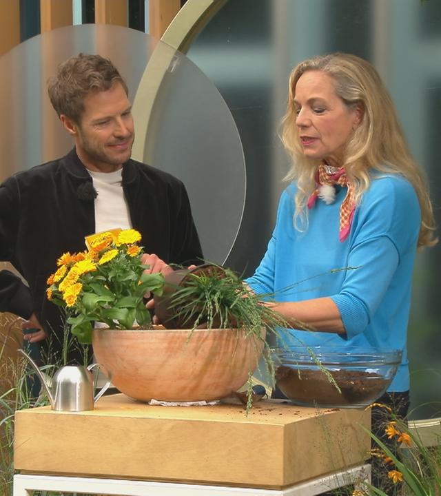 Anja Koenzen und Florian Weiss pflanzen Ziergräser an