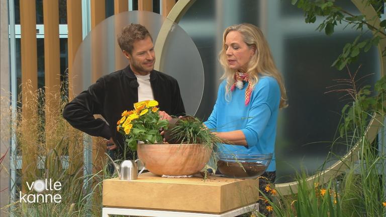 Anja Koenzen und Florian Weiss pflanzen Ziergräser an