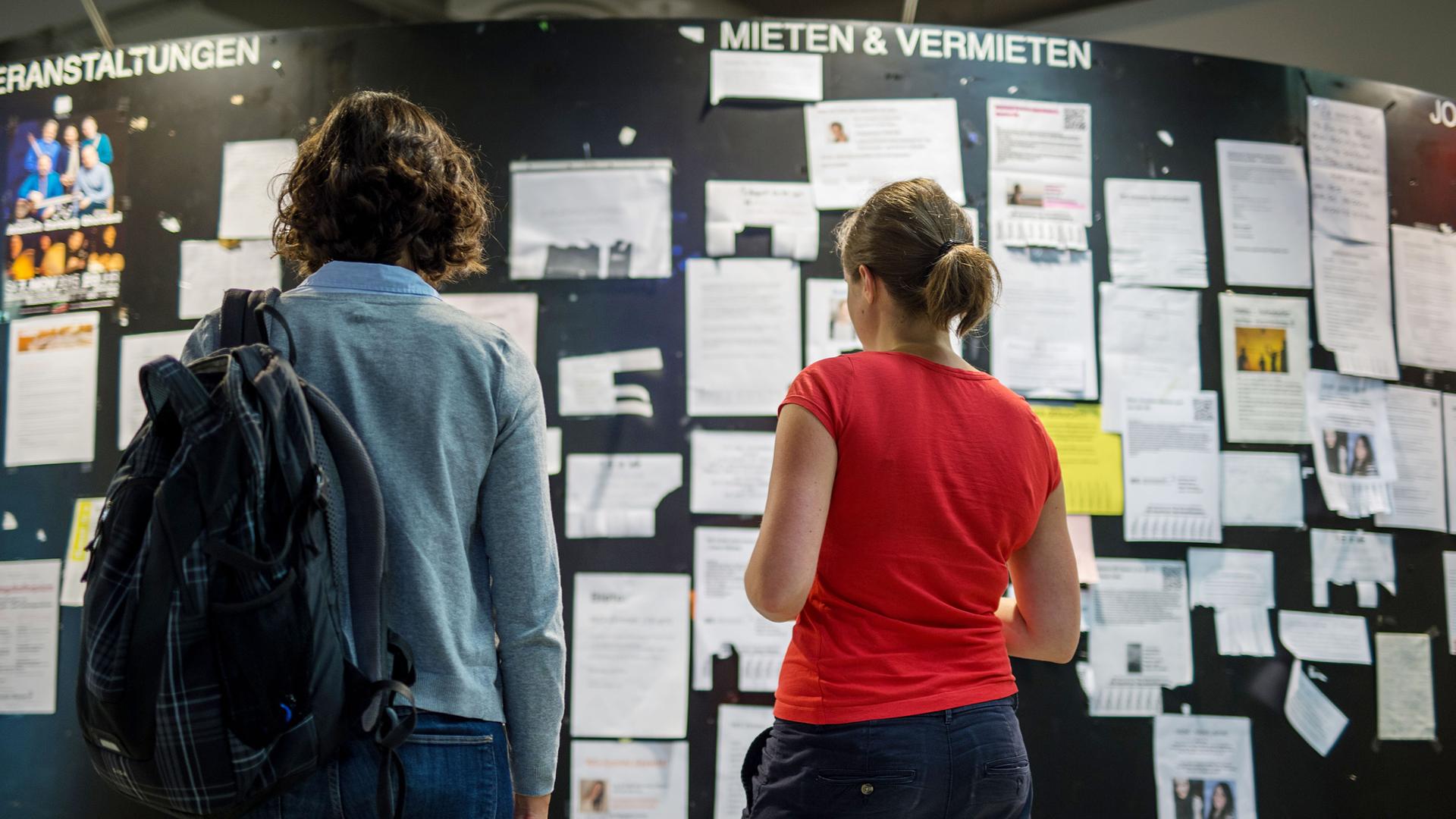 Zwei Studentinnen betrachten  die Wohnungsanzeigen am Schwarzen Brett in der Mensa der Ludwig-Maximilians-Universität in München