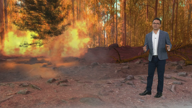 Erklärvideo, wie plötzlich Feuer nach Waldbränden neu aufflammen