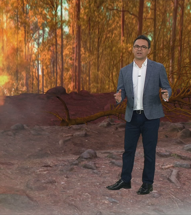 Erklärvideo, wie plötzlich Feuer nach Waldbränden neu aufflammen