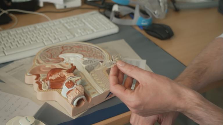 Zungenschrittmacher mit Simulationskopf