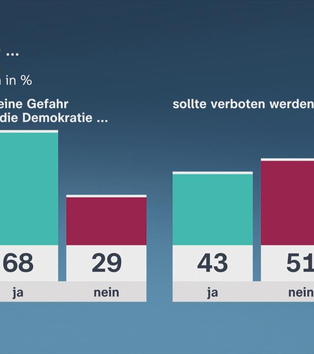 Zwei Drittel sehen die AfD als Gefahr