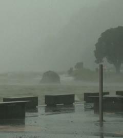 Eine stark regnerische Gegend in Neuseeland ist zu sehen.