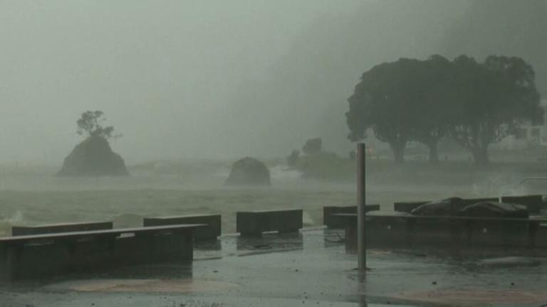 Eine stark regnerische Gegend in Neuseeland ist zu sehen.